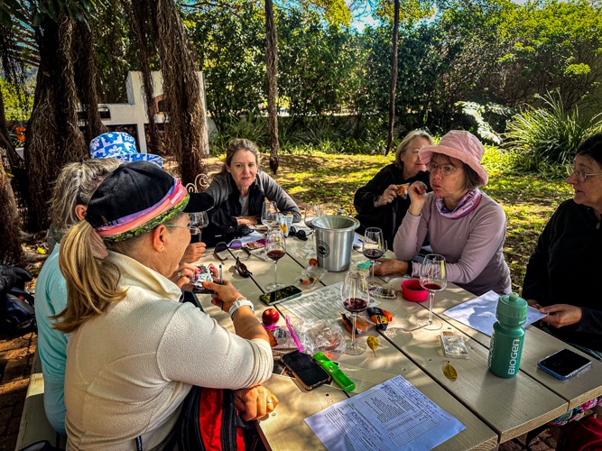 McGregor Wine & Walking Escape – Guided Vineyard Hikes in the Breede Valley, photo 2
