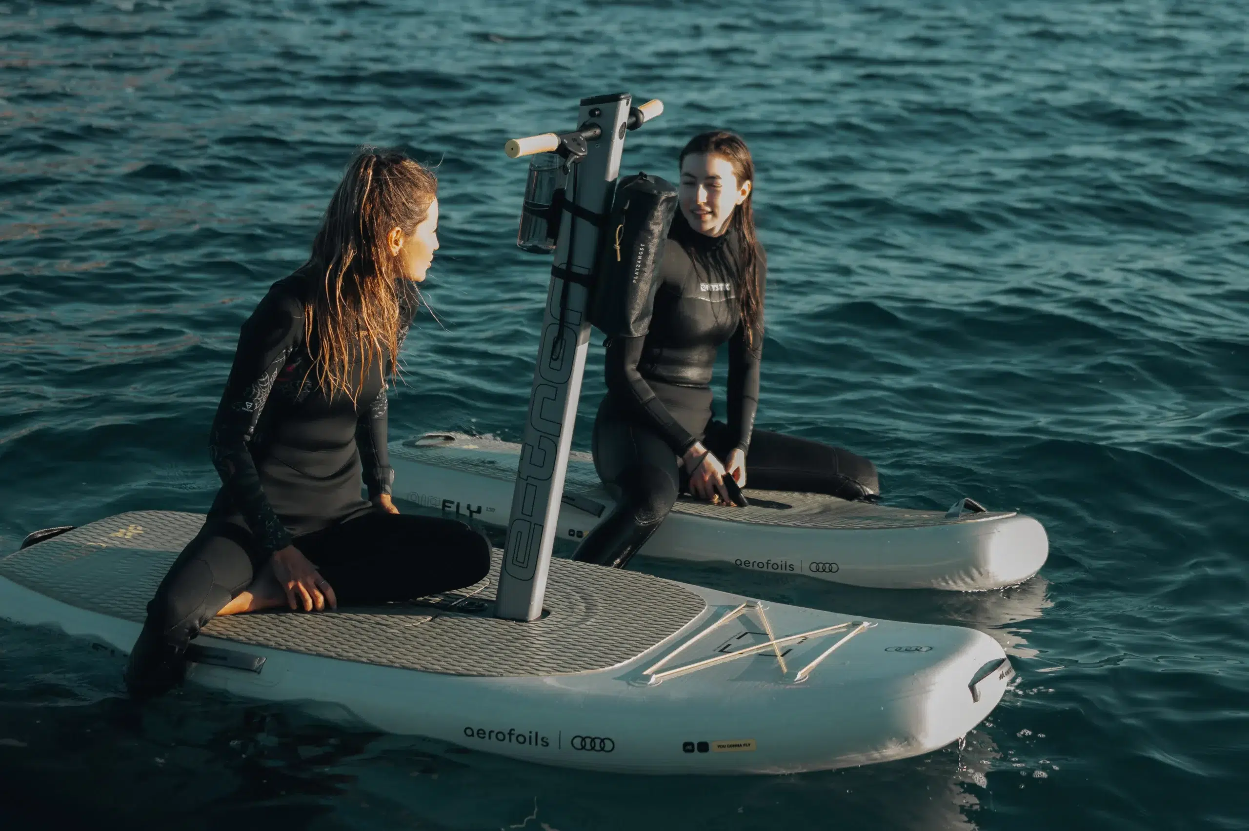 Multi-Watersports Camp in Malmö (Windsurfing, E-Foil & SUP), listing photo