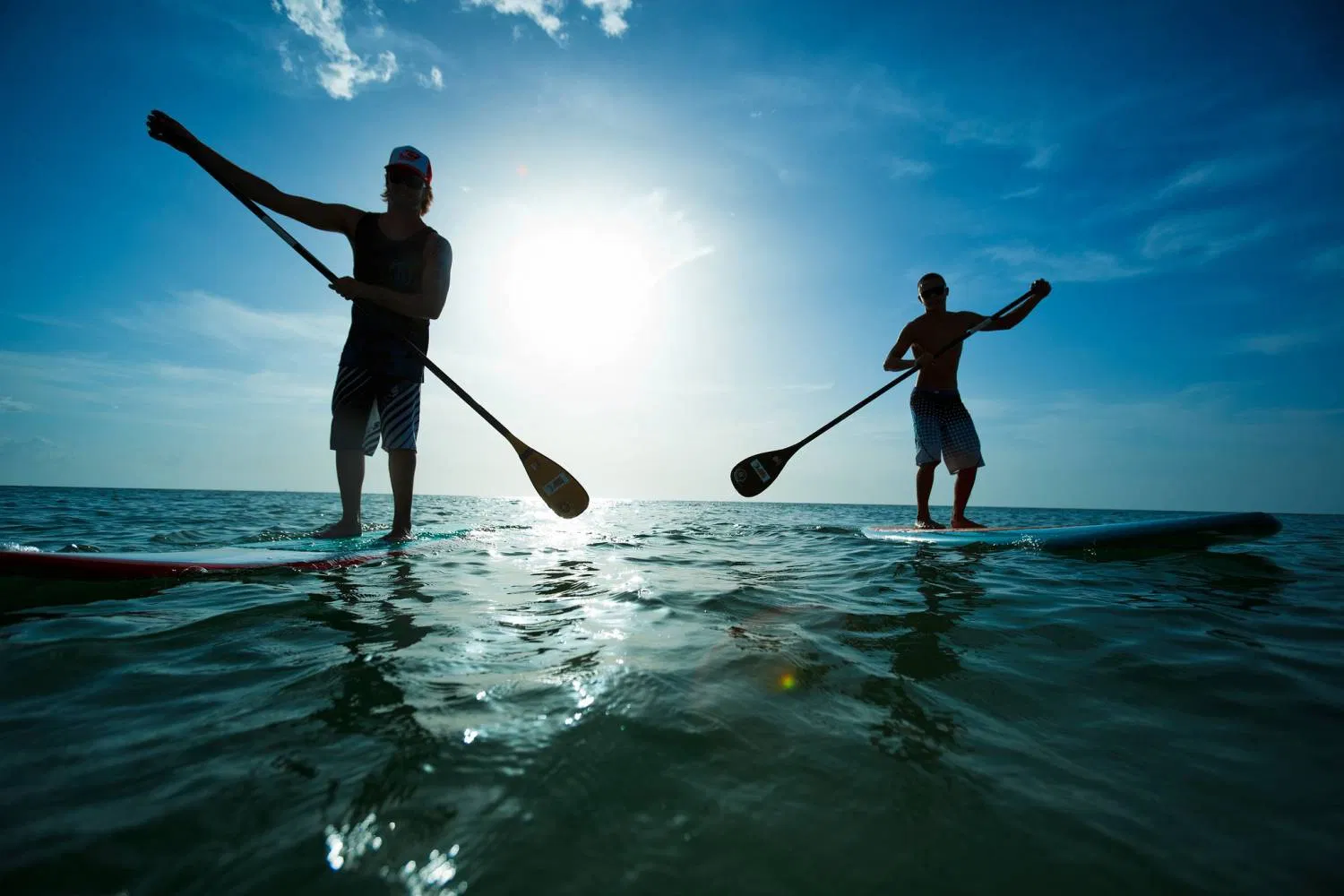 Windsurfing & SUP Rental in Malmö (2.5 Hour Session), photo 2