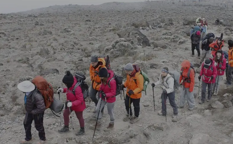 6 Day Kilimanjaro Trek – Marangu, Umbwe or Machame Routes, photo 4