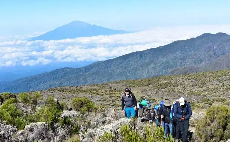7 Day Kilimanjaro Trek – Lemosho, Machame or Rongai Routes, photo 4