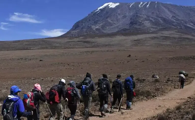 6 Day Kilimanjaro Trek – Marangu, Umbwe or Machame Routes, photo 2
