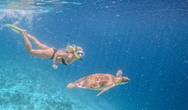 Gili Islands Snorkelling Adventure with GoPro Moments gallery 2