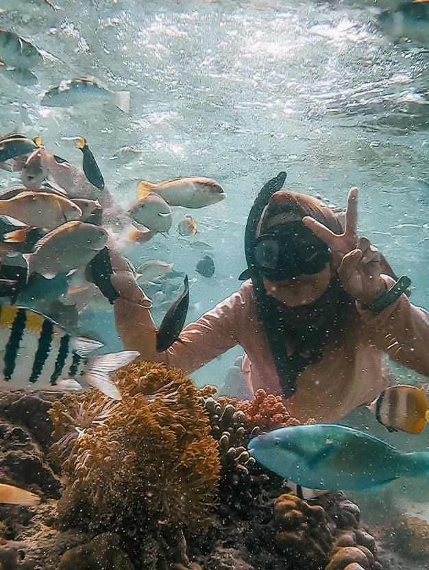 Gili Islands Snorkelling Adventure with GoPro Moments, photo 4