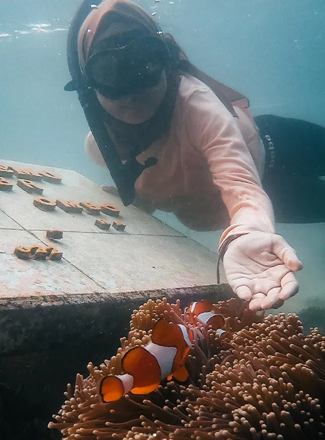 Gili Islands Snorkelling Adventure with GoPro Moments, photo 2