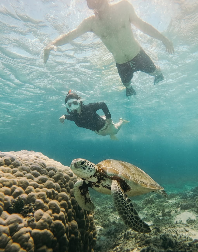 Gili Islands Turtle Snorkelling and Underwater Statue Experience, photo 3