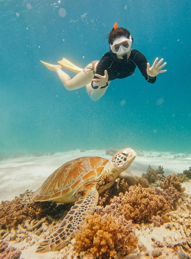 Gili Islands Turtle Snorkelling and Underwater Statue Experience, photo 4