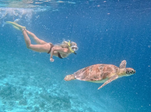 Stop 1 – Turtle Point 1