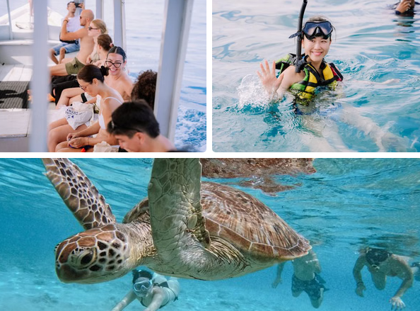 Stop 1 – Turtle Point 2