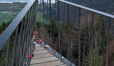 Guided Harder Kulm Mountain Walk with Lake Views, photo 2
