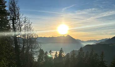 Guided Harder Kulm Mountain Walk with Lake Views, photo 4