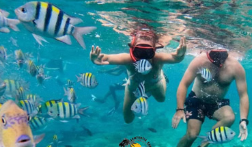 Mnemba Dolphin Snorkelling and Sandbank Boat Trip, photo 3