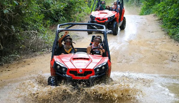 Jungle Buggy and River Safari Costa Rica Private Tour, photo 3