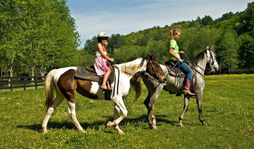 Private Zipline and Horseback Riding Tour from San Jose gallery 4