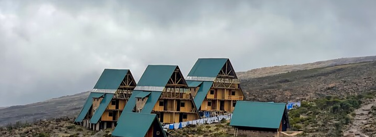 Day 4 – Alpine Desert Crossing to Kibo Hut 1