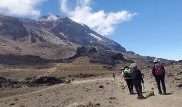 6-Day Kilimanjaro: Umbwe Route - Steep Ascent Trek to Uhuru Peak, photo 2