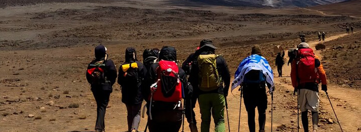 7-Day Kilimanjaro: Shira Route – Plateau Remote and Scenic Trek gallery 5