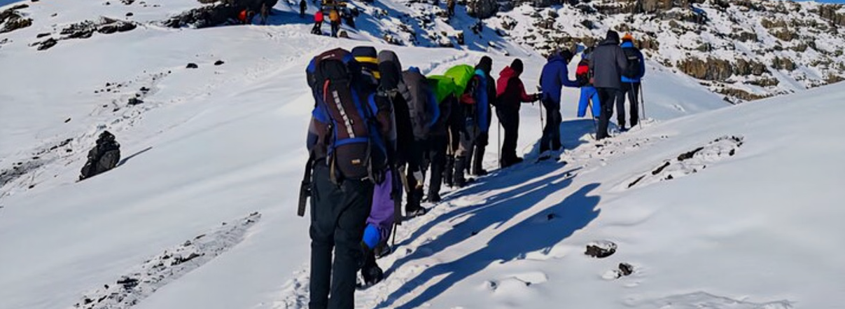 7-Day Kilimanjaro: Shira Route – Plateau Remote and Scenic Trek gallery 6