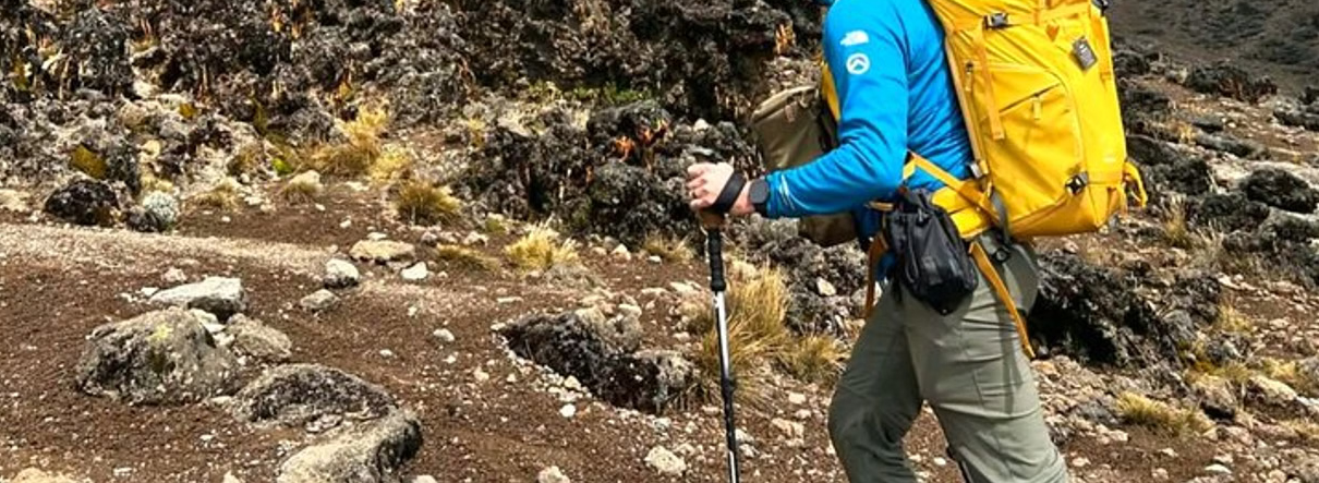 8-Day Kilimanjaro: Lemosho – High Success Scenic Route gallery 9