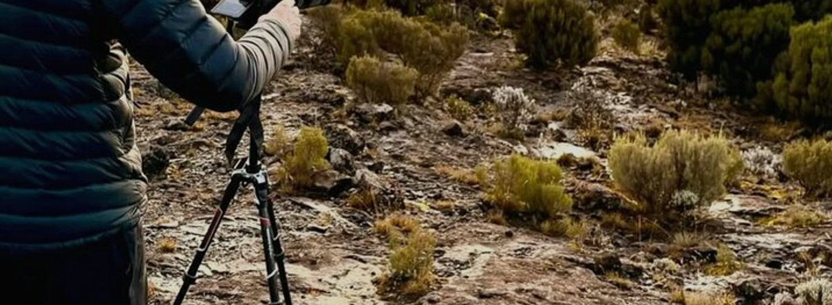 8-Day Kilimanjaro: Lemosho – High Success Scenic Route gallery 7