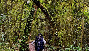 Kilimanjaro: Mandara Hut Rainforest Hike with Maundi Crater View, photo 4