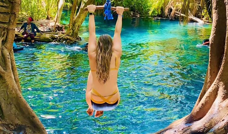 Materuni Waterfall and Kikuletwa Hot Springs Day Trip, listing photo