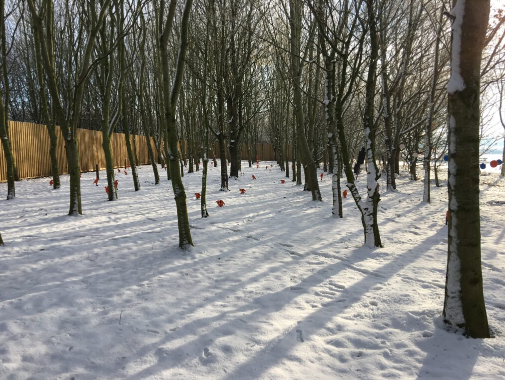 Archery Range Sessions and Training in Leicester, photo 3