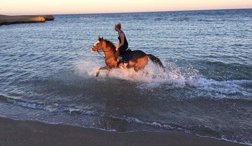 Horse Riding Desert and Sea Experience in Hurghada, photo 4