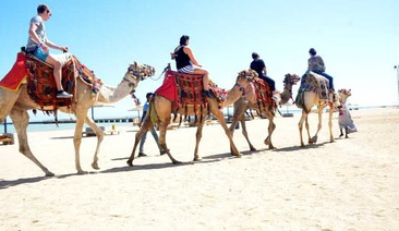 Horse Riding Desert and Sea Experience in Hurghada, photo 2