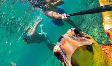 Beginner Scuba Experience with Boat Dives in Hurghada, photo 2