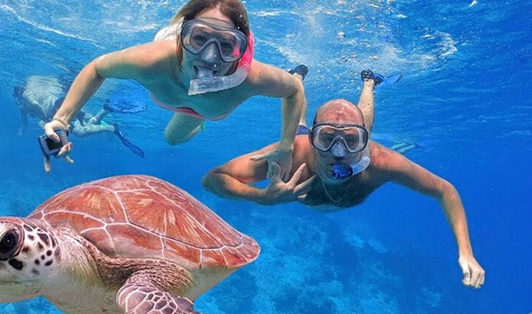 Private Speedboat Dolphin Watching and Snorkelling Trip from Hurghada, listing photo