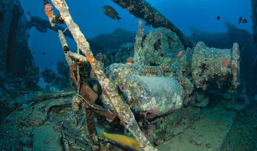 PADI Advanced Open Water Diving Course in Hurghada, photo 3