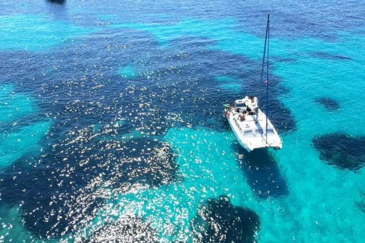 Private Catamaran Day with Brunch: La Maddalena Archipelago gallery 8