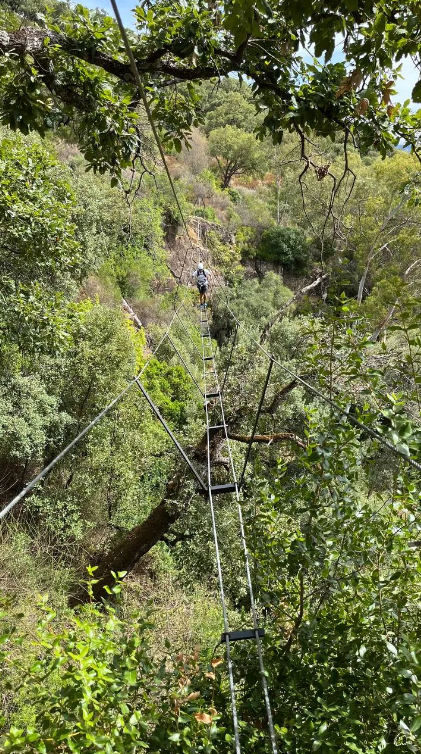 Via Ferrata El Caimán Alcornocales Climbing Route, photo 5