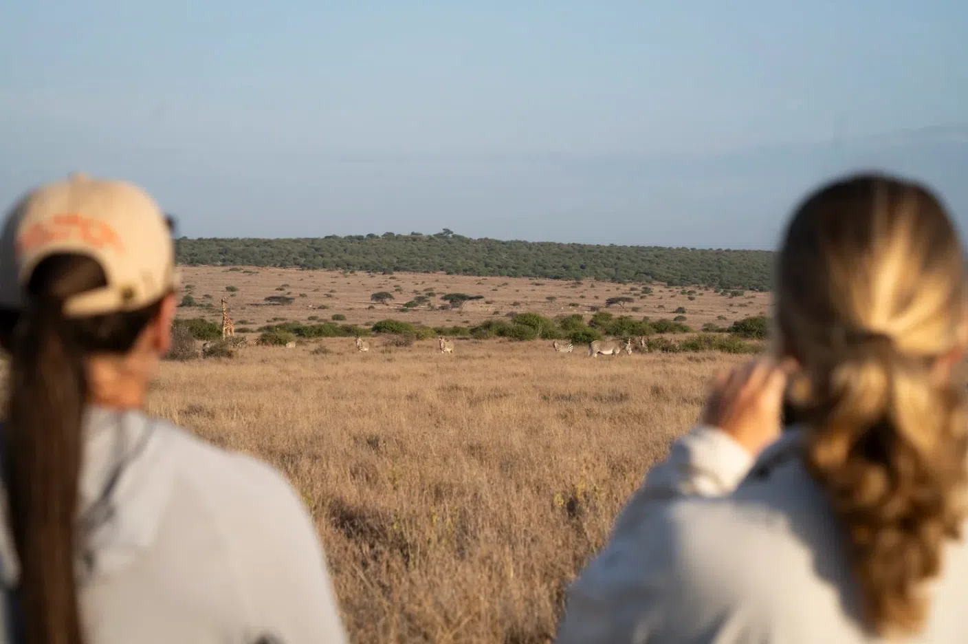 12 Day Tulia Kenya Safari and Mountaineering Expedition gallery 5