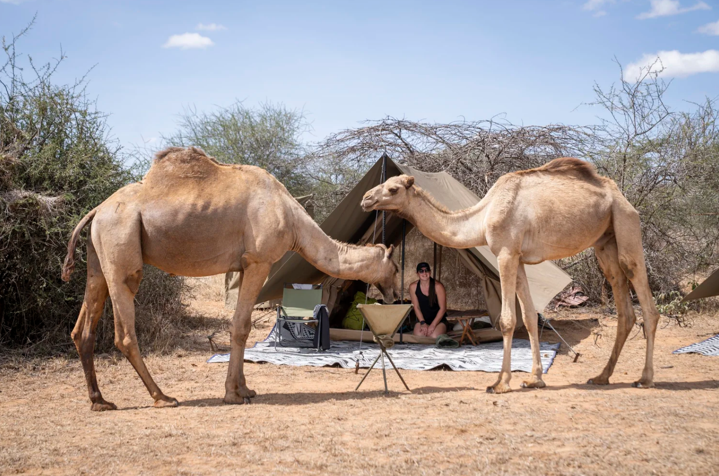 12 Day Tulia Kenya Safari and Mountaineering Expedition gallery 6