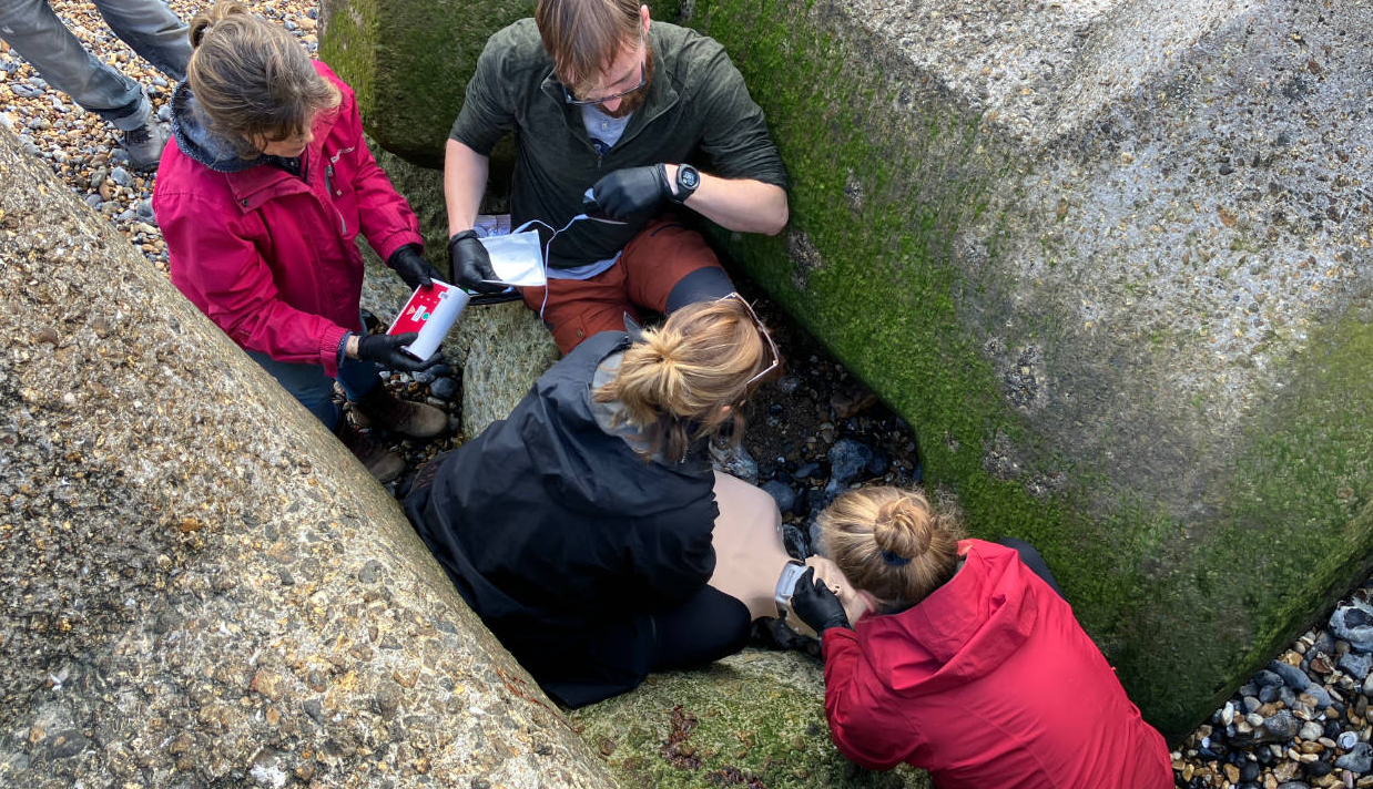 Outdoor First Aid Training in Brighton (8-Hour or 16-Hour) gallery 3