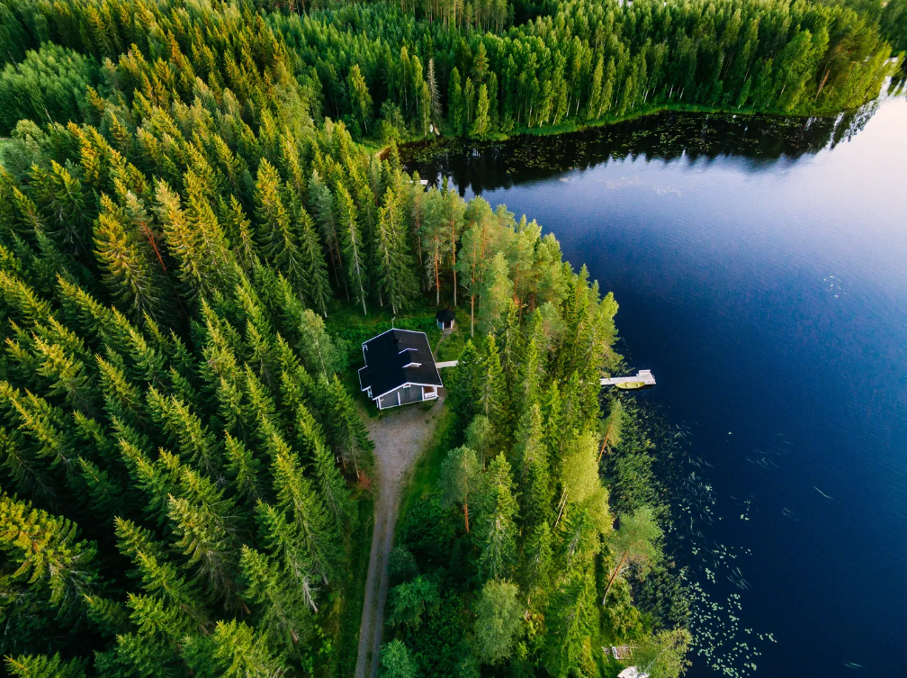 Midnight Sun Floating Experience in Forest Lake, Lapland gallery 5