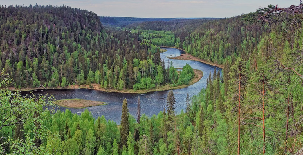 Auttiköngäs Nature Trail Hiking Tour with BBQ in Lapland gallery 2