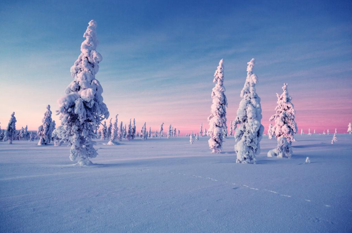 Snowmobile and Ice Fishing Experience in Rovaniemi gallery 2