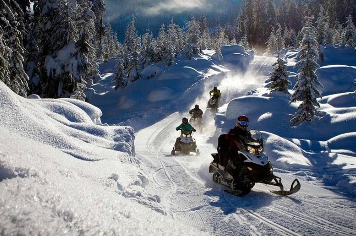 Snowmobile Safari in Arctic Circle Forest, Rovaniemi, photo 3