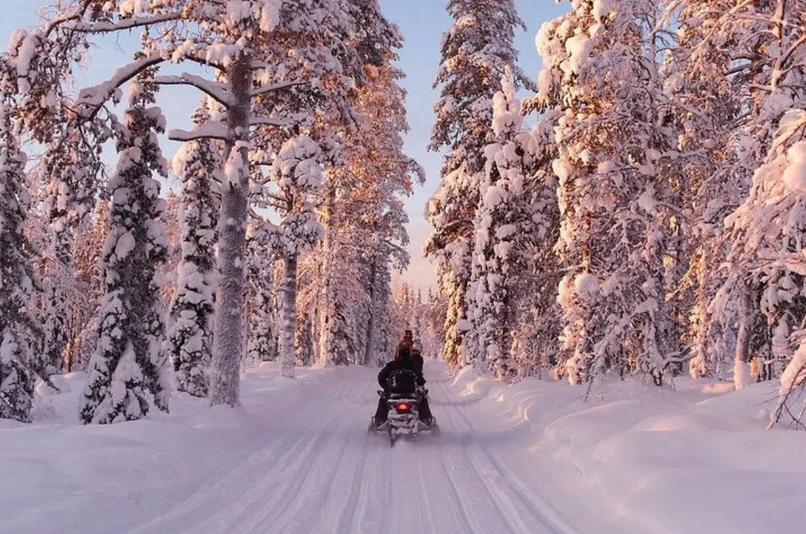Snowmobile Safari in Arctic Circle Forest, Rovaniemi gallery 5