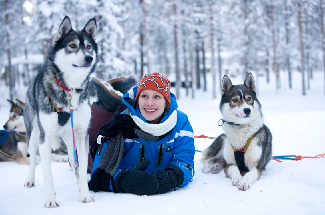Snowy Trails Husky Safari Experiences in Lapland (5 km, 10 km & 20 km), photo 3