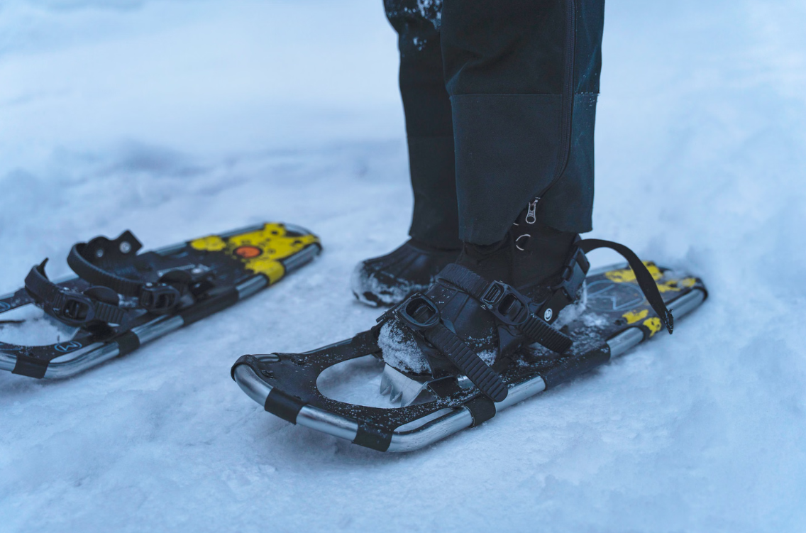 Arctic Snowshoeing Day in Rovaniemi, Lapland, photo 5
