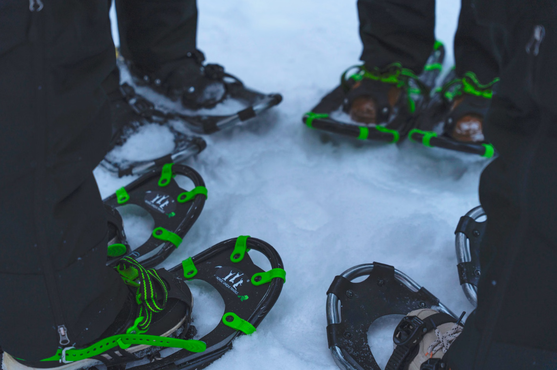 Arctic Snowshoeing Day in Rovaniemi, Lapland gallery 2