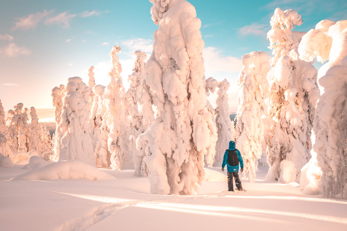 Arctic Snowshoeing Day in Rovaniemi, Lapland gallery 4