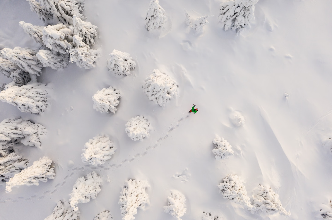 Arctic Snowshoeing Day in Rovaniemi, Lapland gallery 5