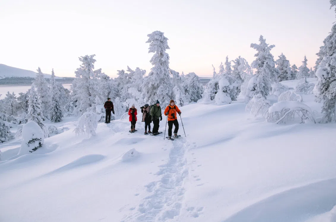 Arctic Snowshoeing Day in Rovaniemi, Lapland, photo 2