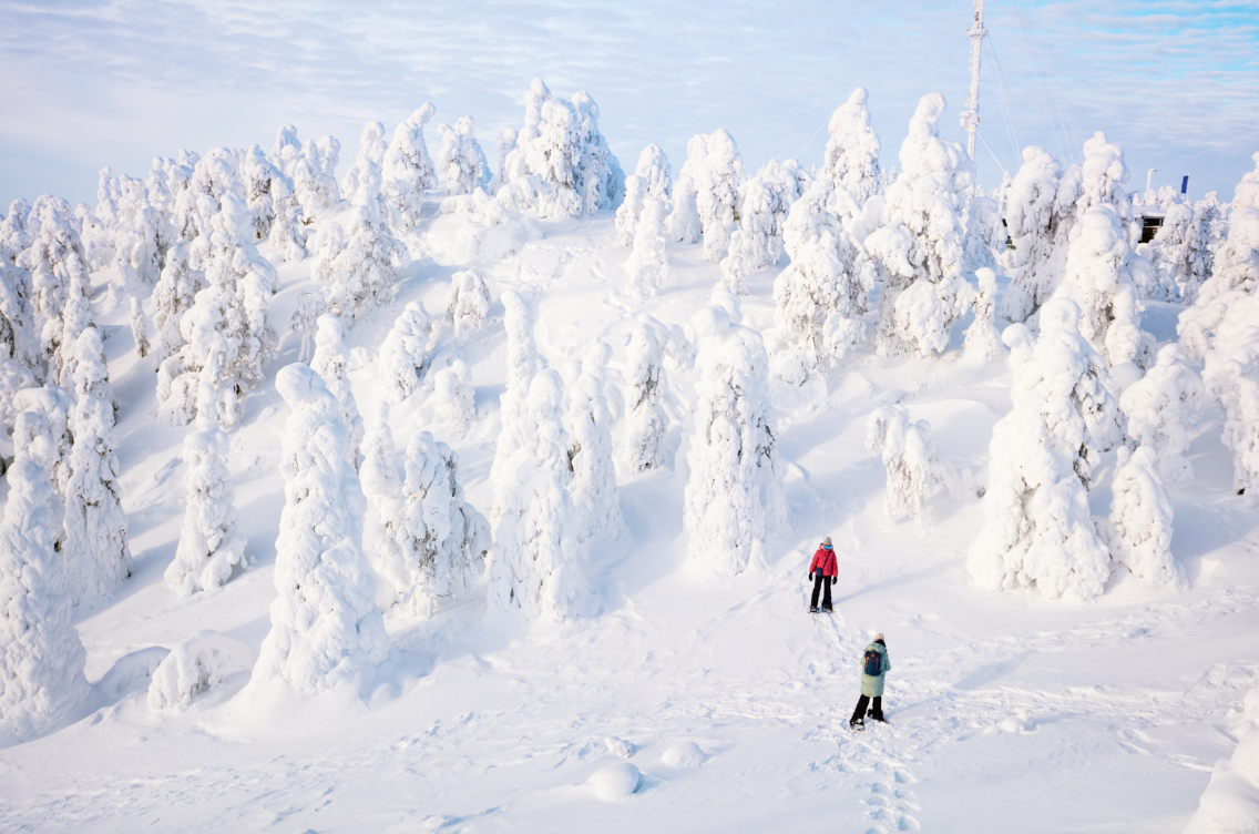 Arctic Snowshoeing Day in Rovaniemi, Lapland gallery 6