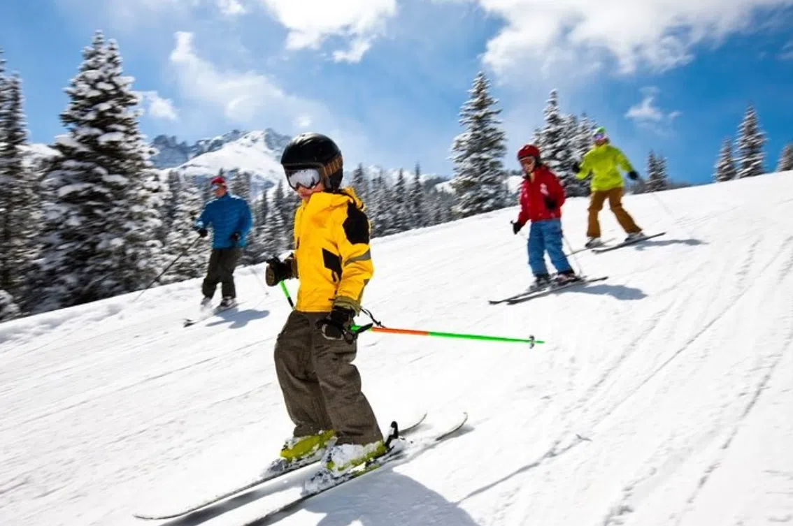 Lapland Cross Country Ski Adventure in Rovaniemi gallery 3